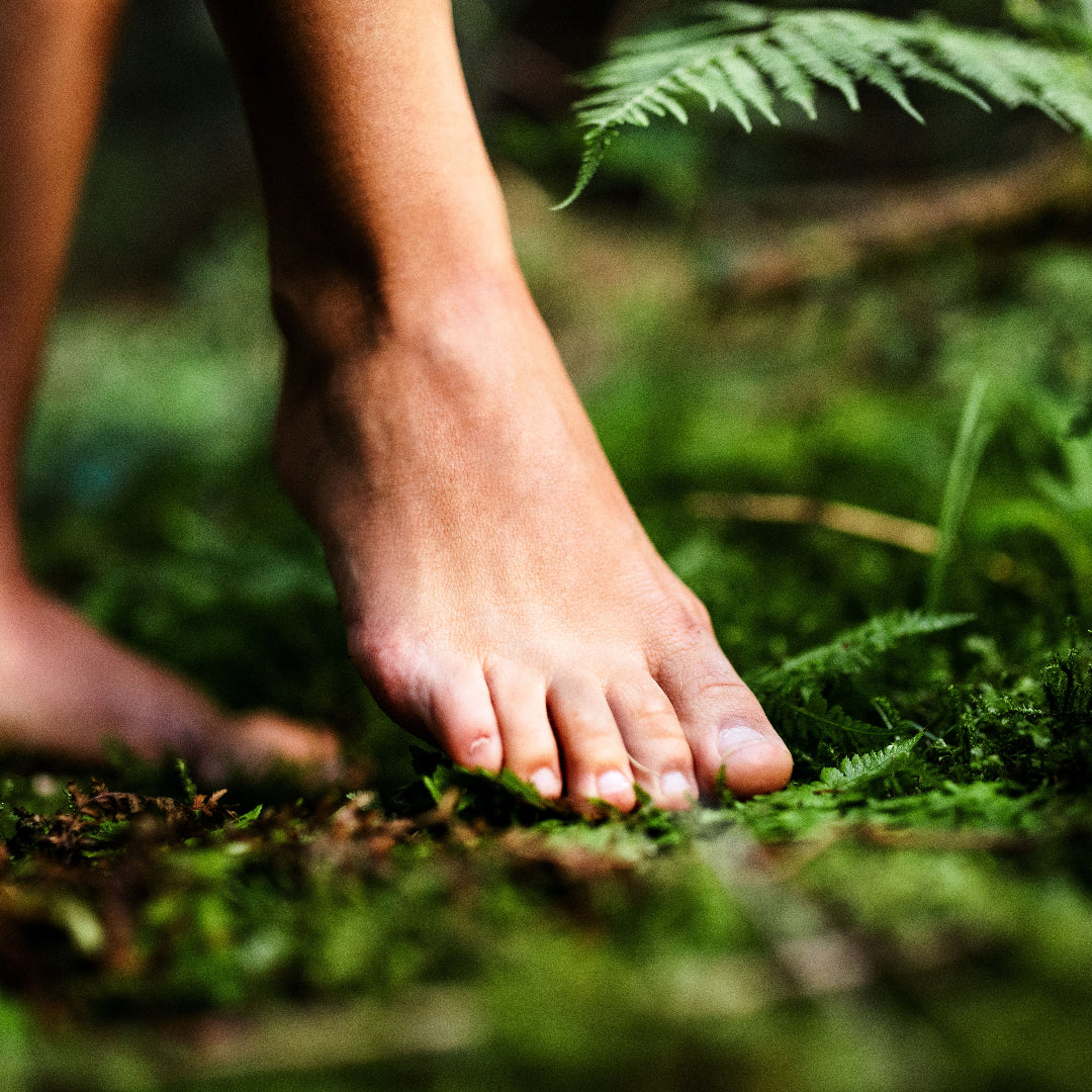 Close-up of a bare foot stepping on green grass and moss